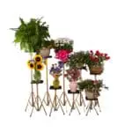 __8890 Basic Small Top Display Stand Value Full Bundle All 9 Stands